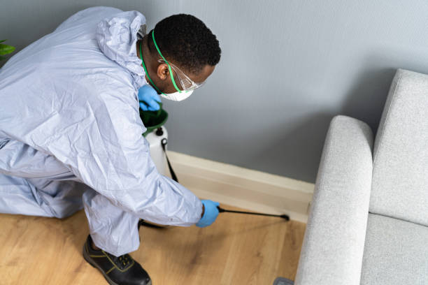 Emergency Pest Control Services in Alachua, FL